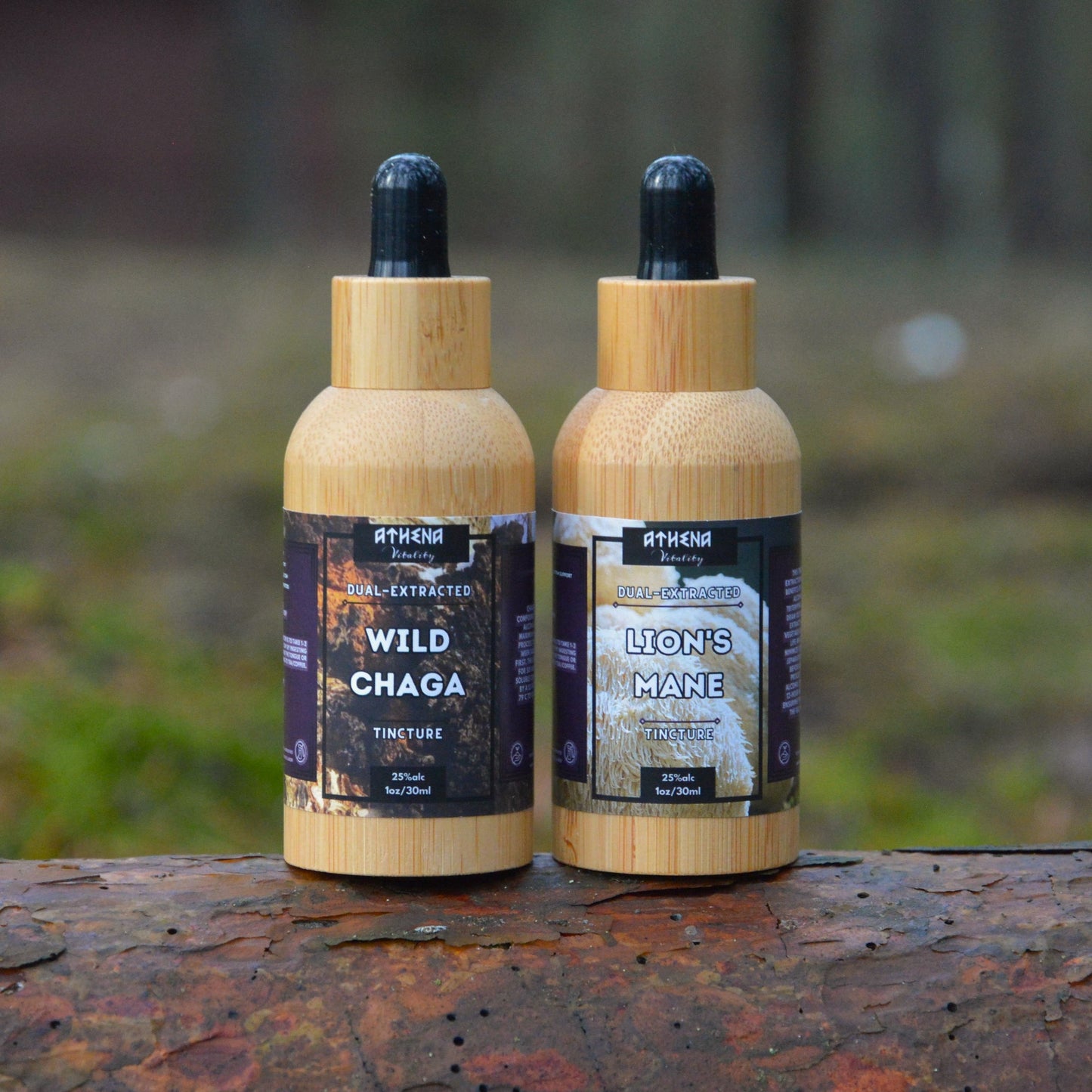 DUAL-EXTRACTED WILD CHAGA & LION'S MANE TINCTURES (2-PACK)