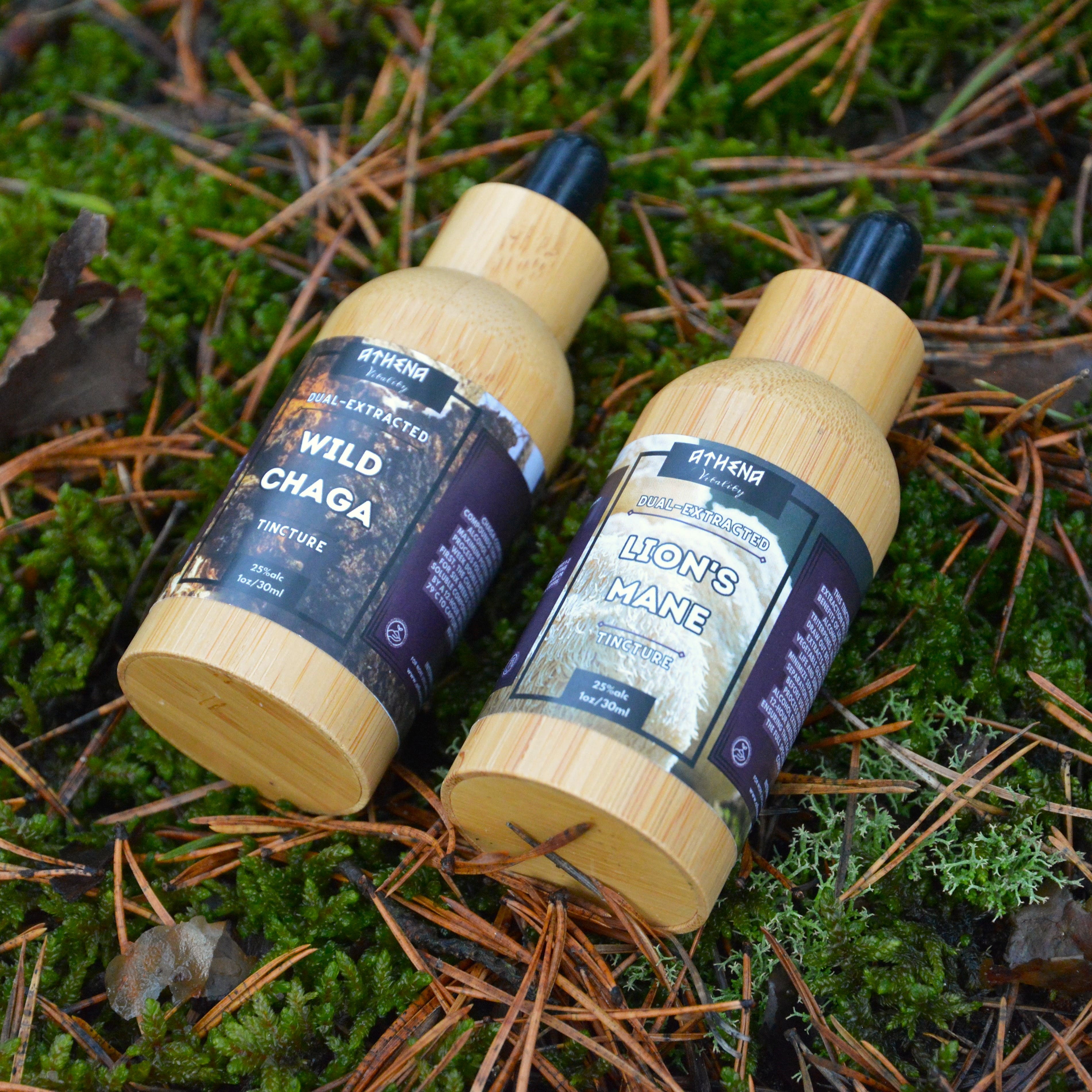 DUAL-EXTRACTED WILD CHAGA & LION'S MANE TINCTURES (2-PACK)